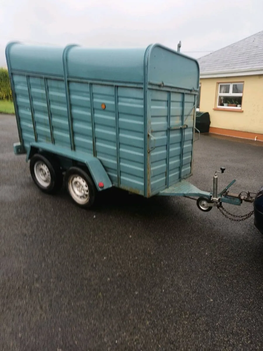 Cattle Trailer - Image 4