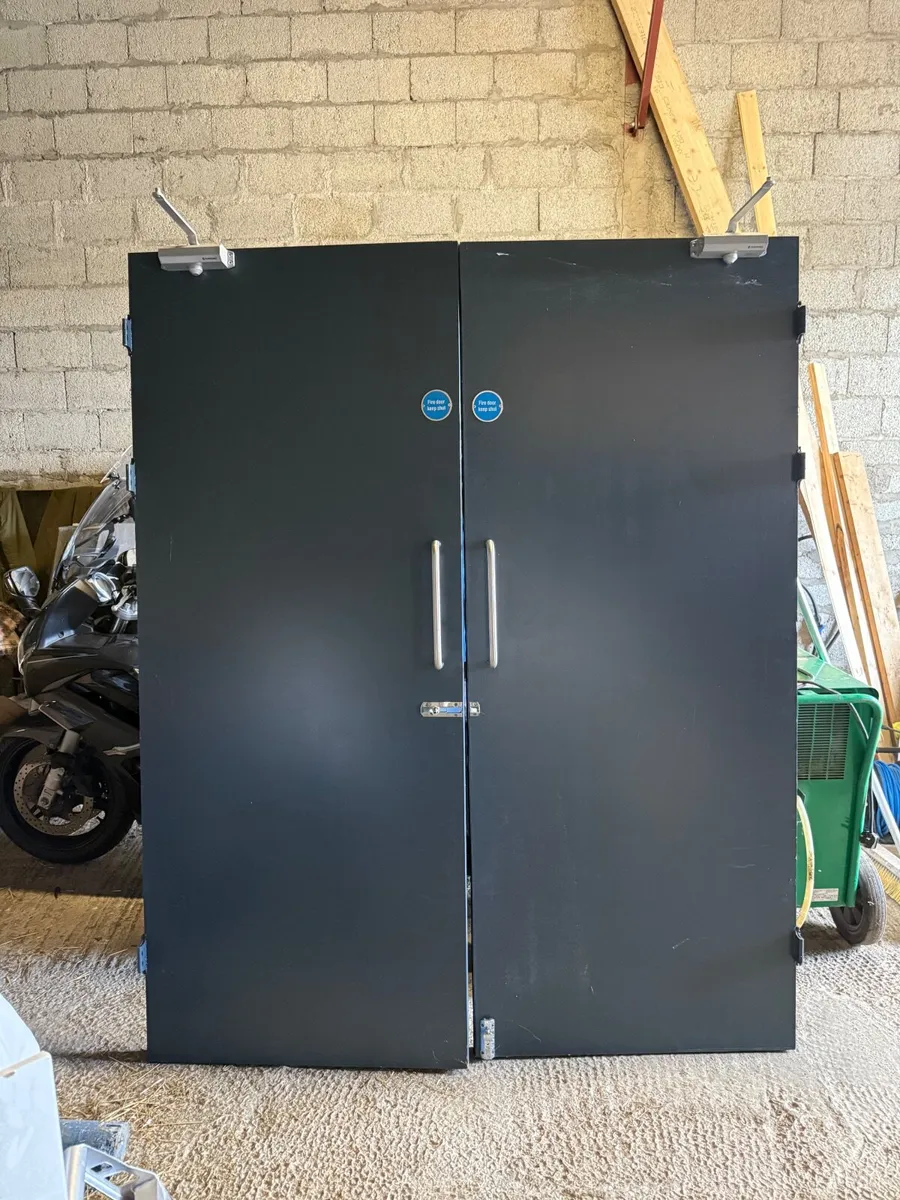 Fire door pair - Image 2