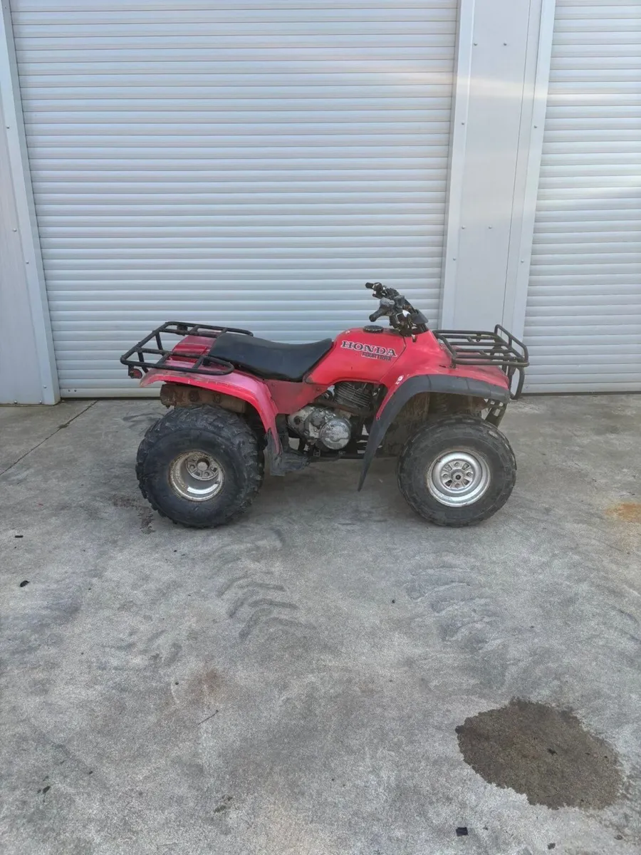 Quad - Image 4