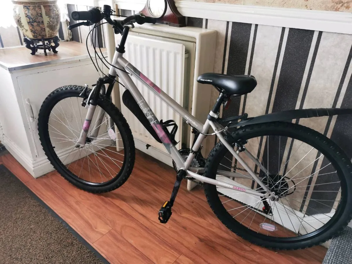 Ladys Bike - Image 2