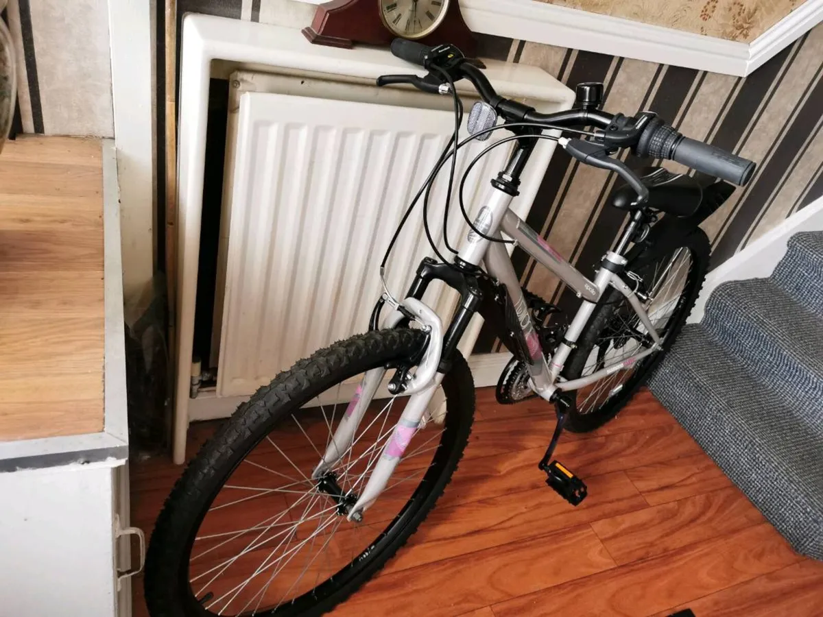 Ladys Bike - Image 3