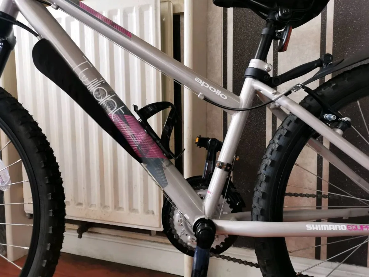 Ladys Bike - Image 4