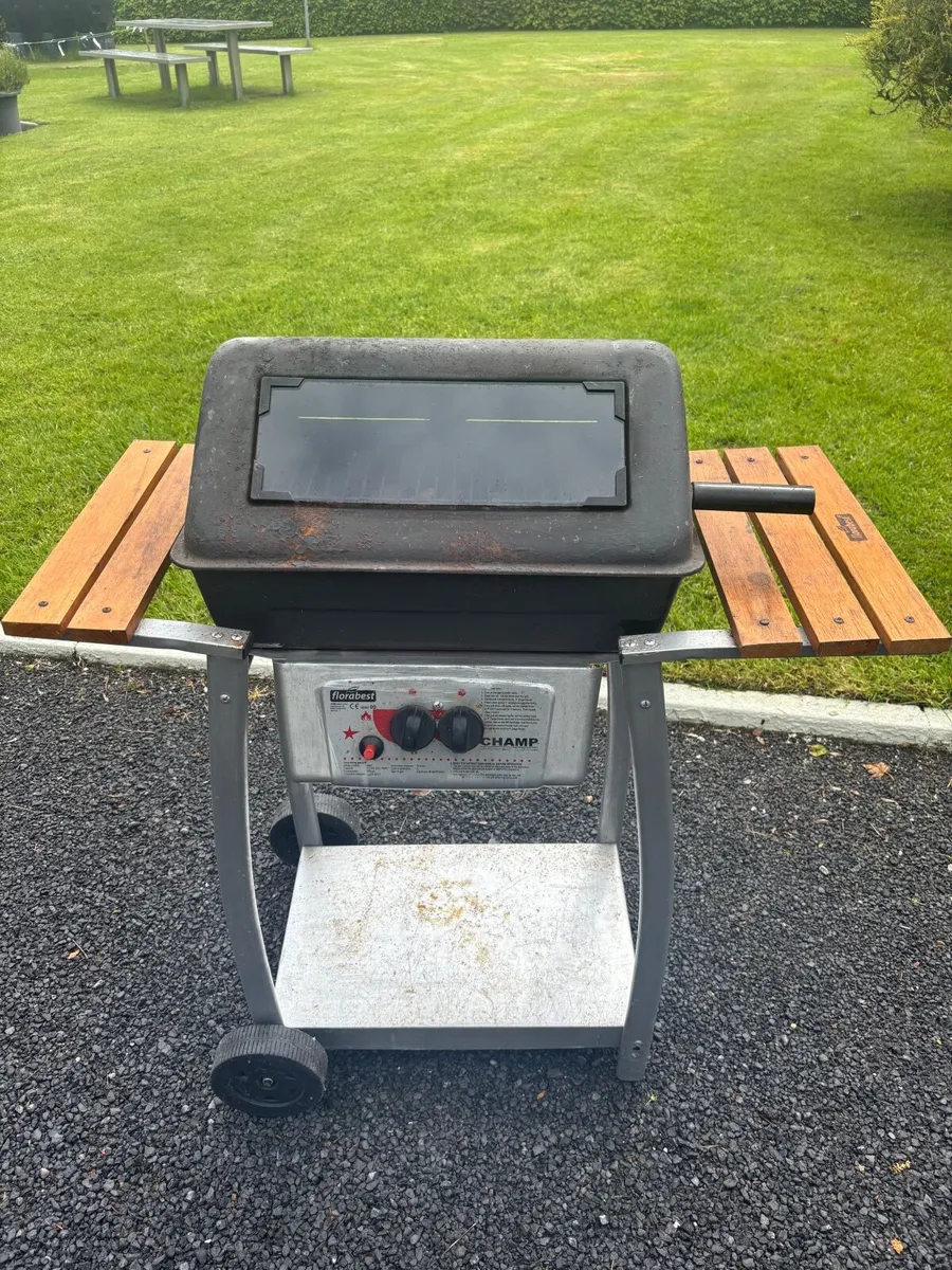 Gas Barbecue - Image 1