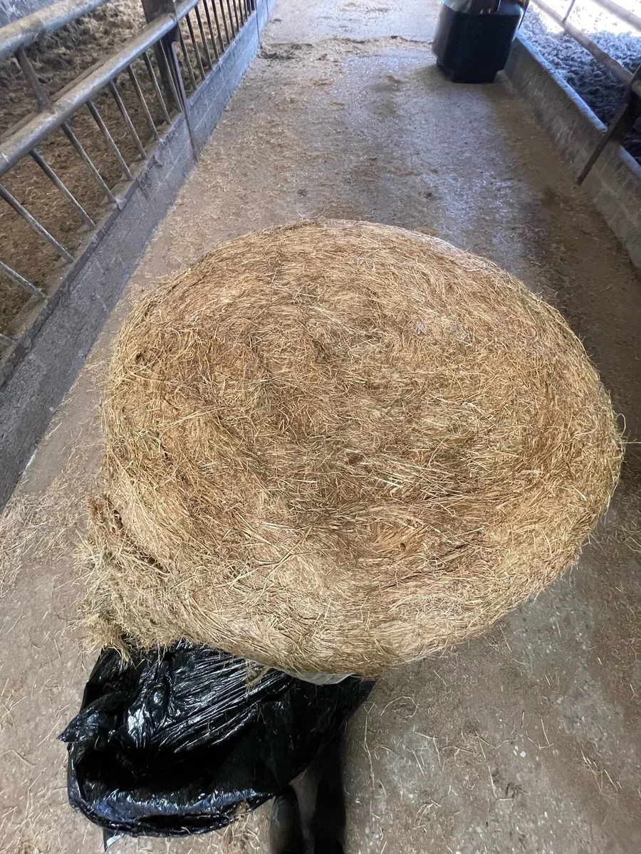 Hay and Haylage - Image 3