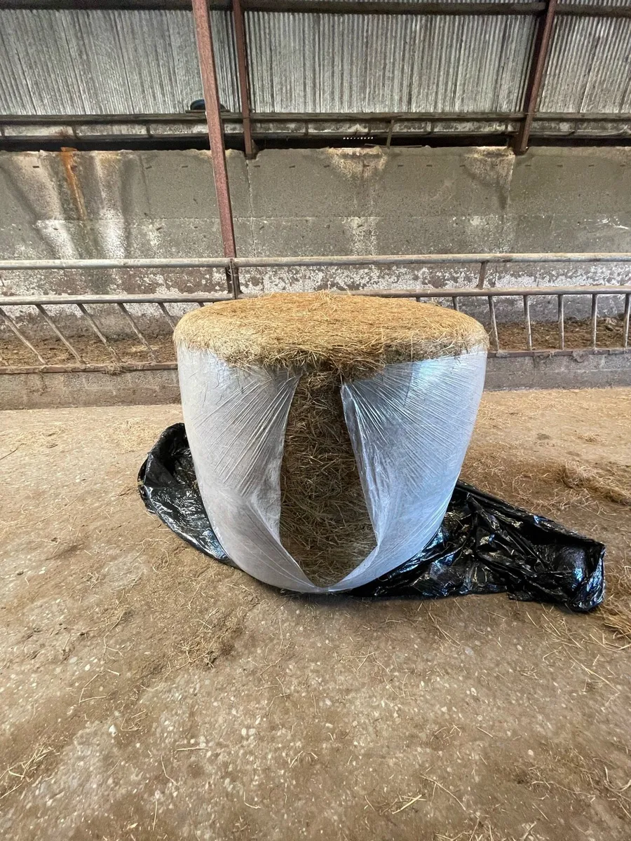 Hay and Haylage - Image 2