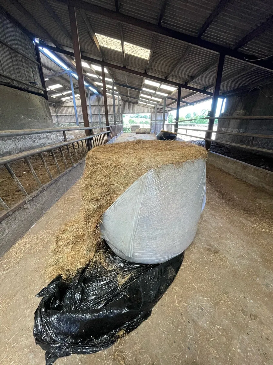 Hay and Haylage - Image 1