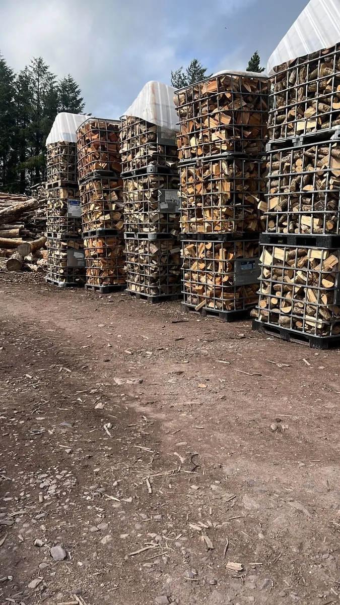 Firewood - Image 4