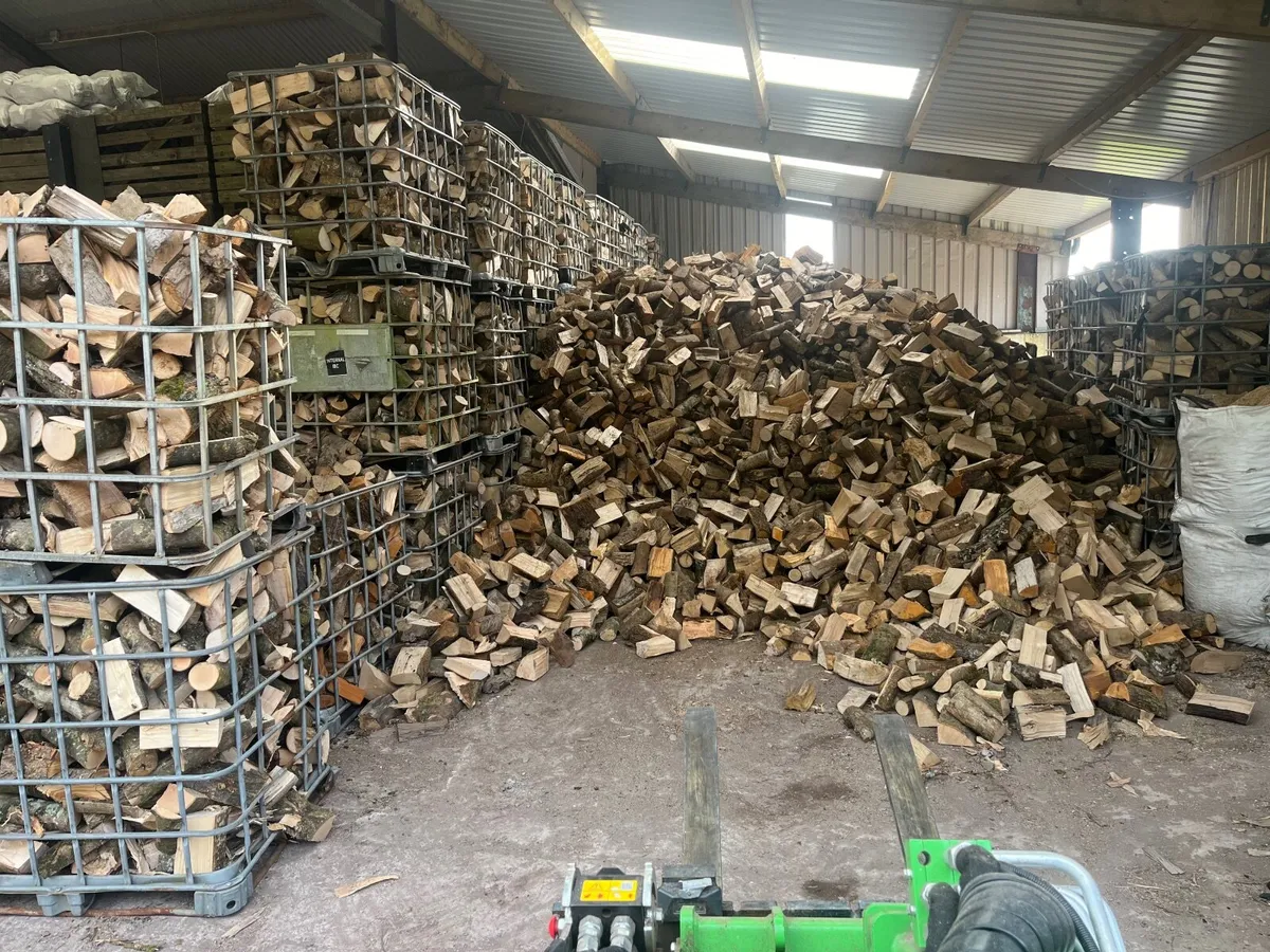 Firewood - Image 3