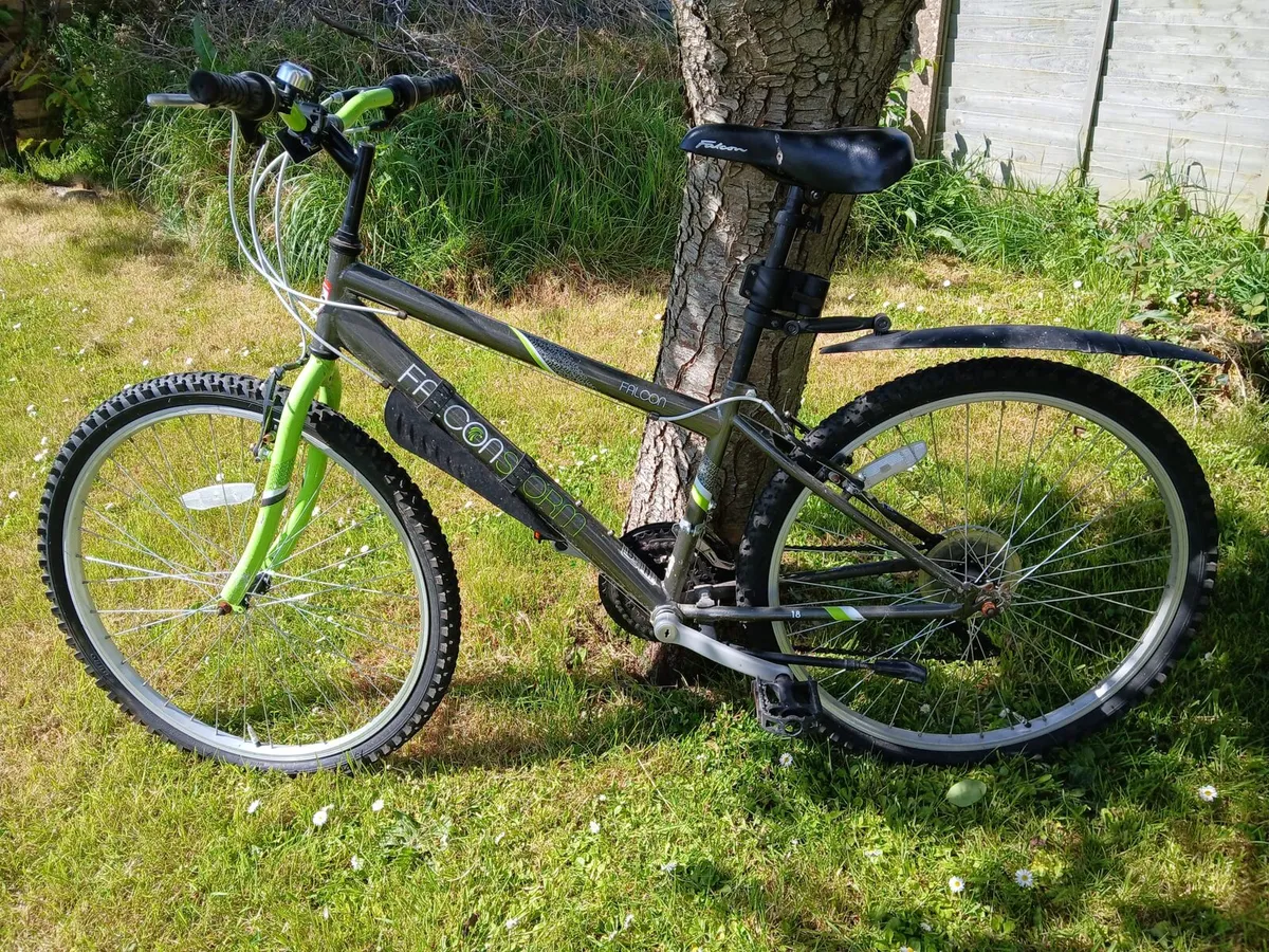 Falcon Storm Mountain Bike