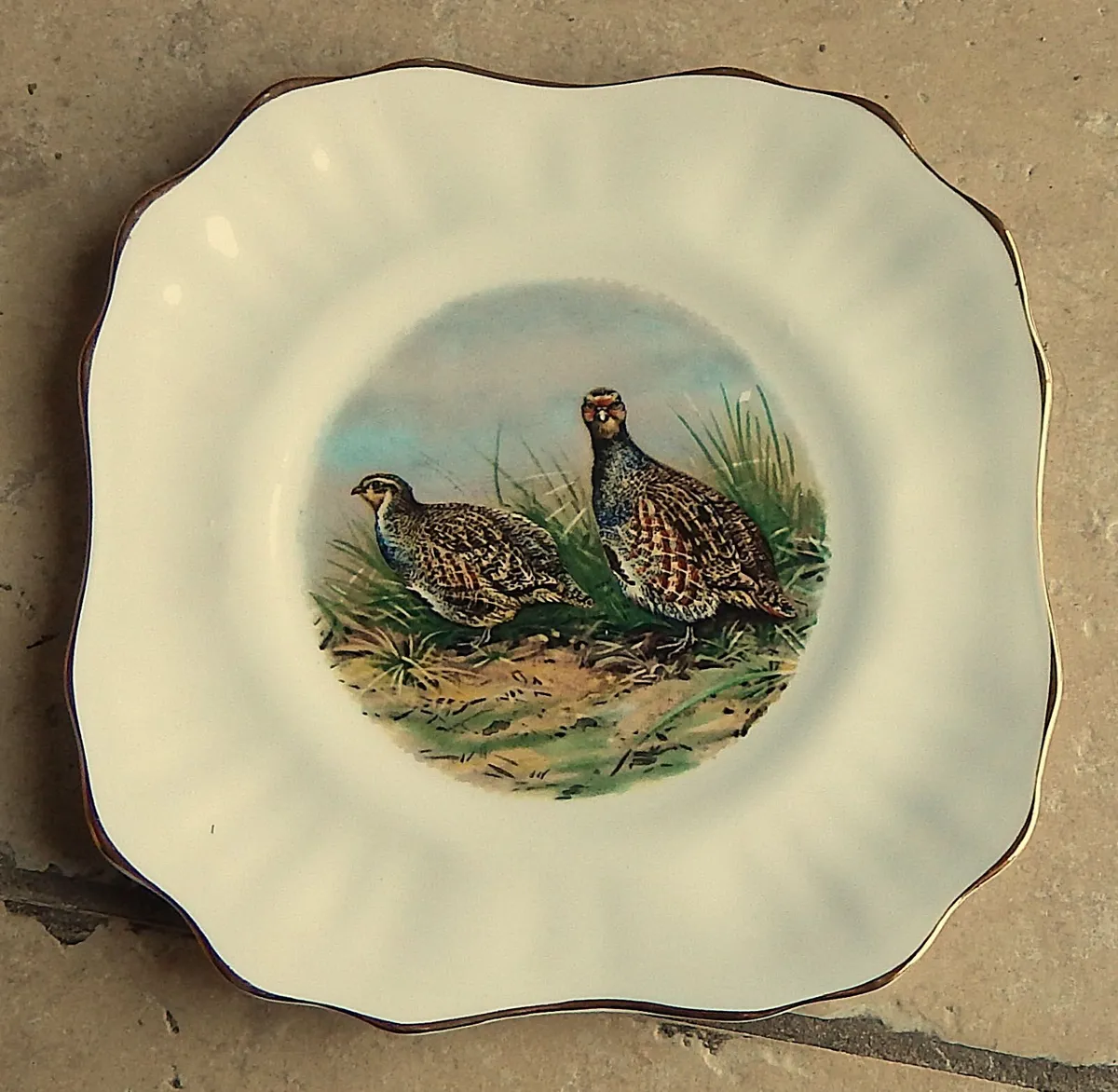 Pair of Vintage Arklow Pottery Bone China Plates - Image 2