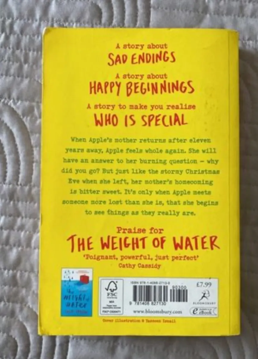 Book: Sarah Crossan: Apple and Rain - Image 2