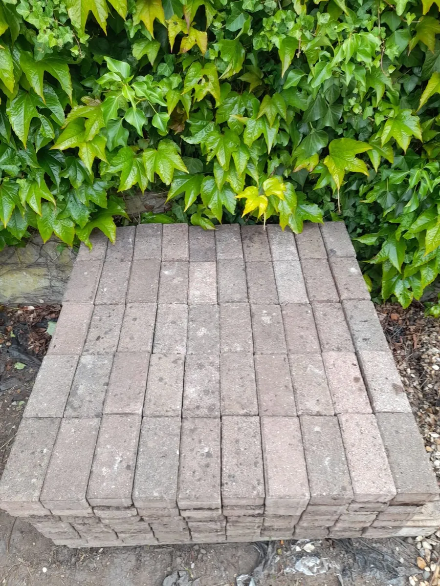 Paving Slabs - Great condition - Only 1e Each - Image 2