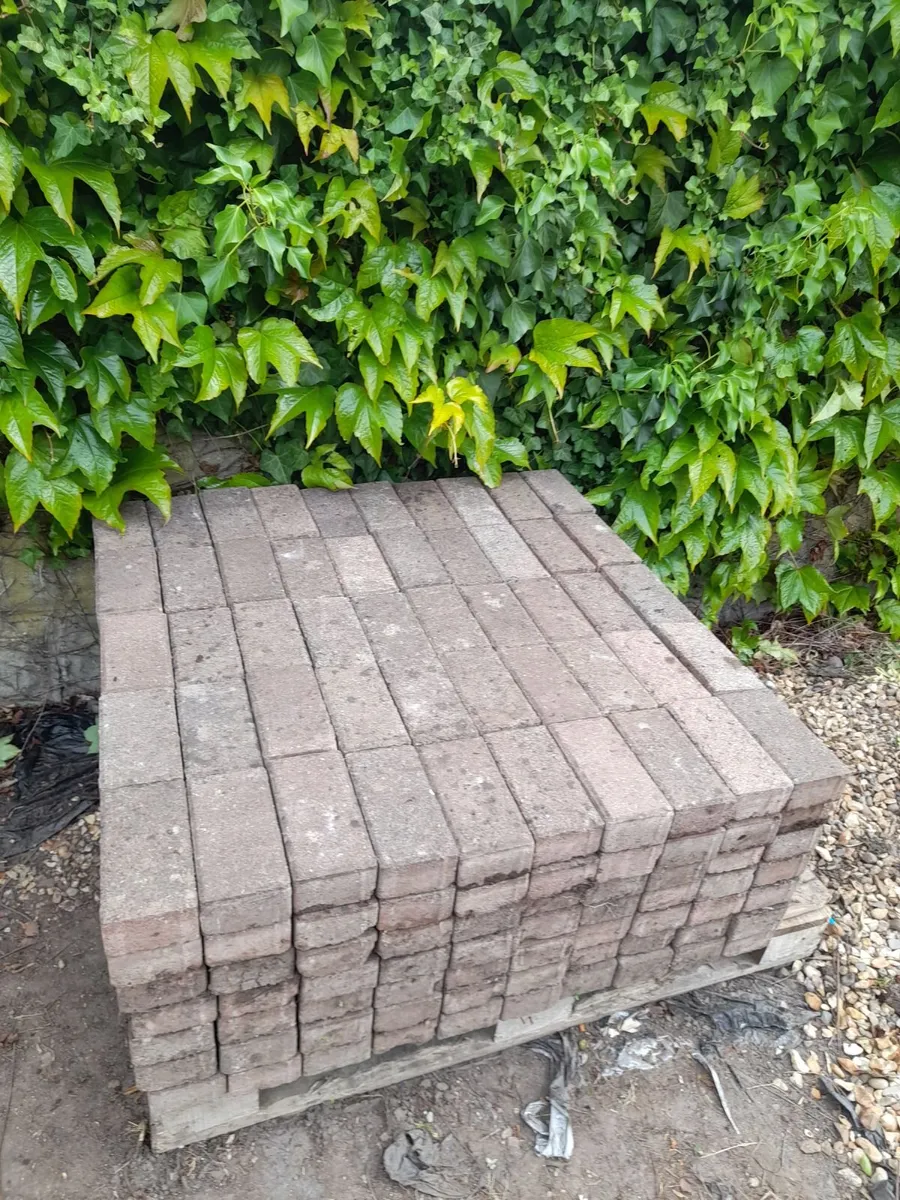 Paving Slabs - Great condition - Only 1e Each - Image 3