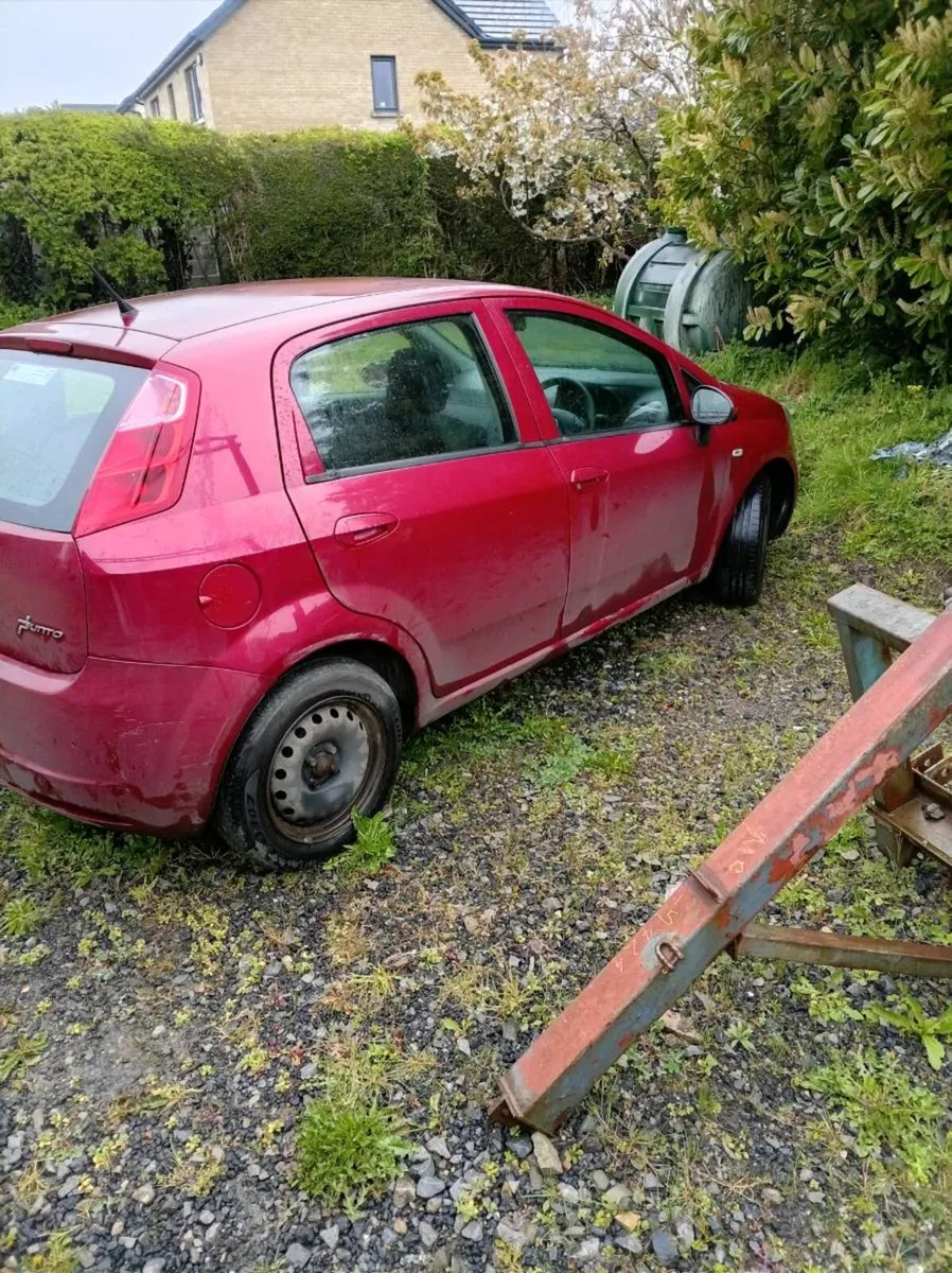 Punto fiat - Image 1