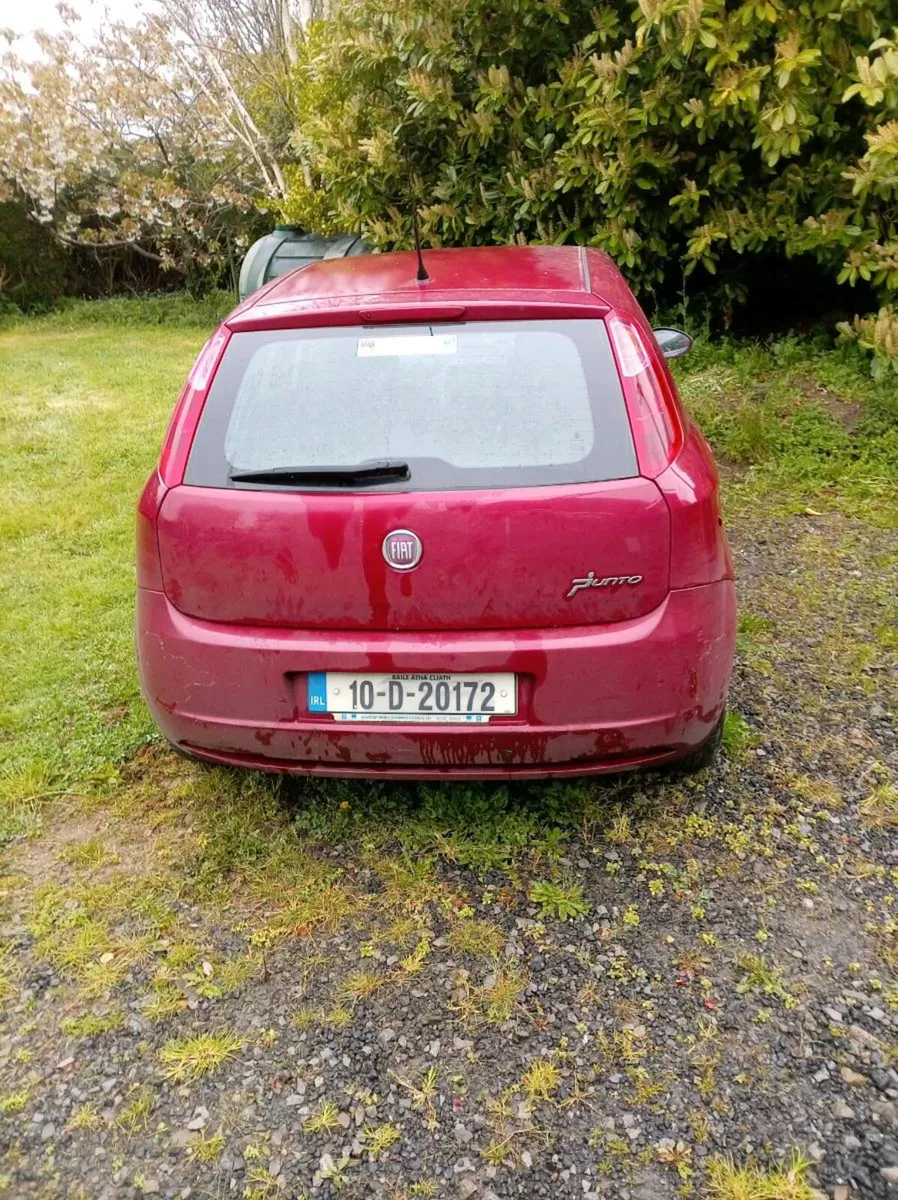 Punto fiat - Image 2