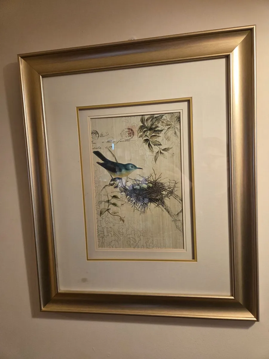 Large Framed Bird & Nature Wall Art – Gold Frame