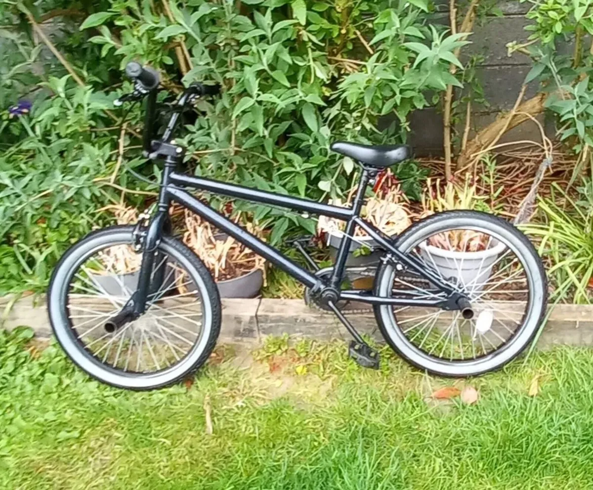 BMX X-Rtd Spine 20 - Image 1