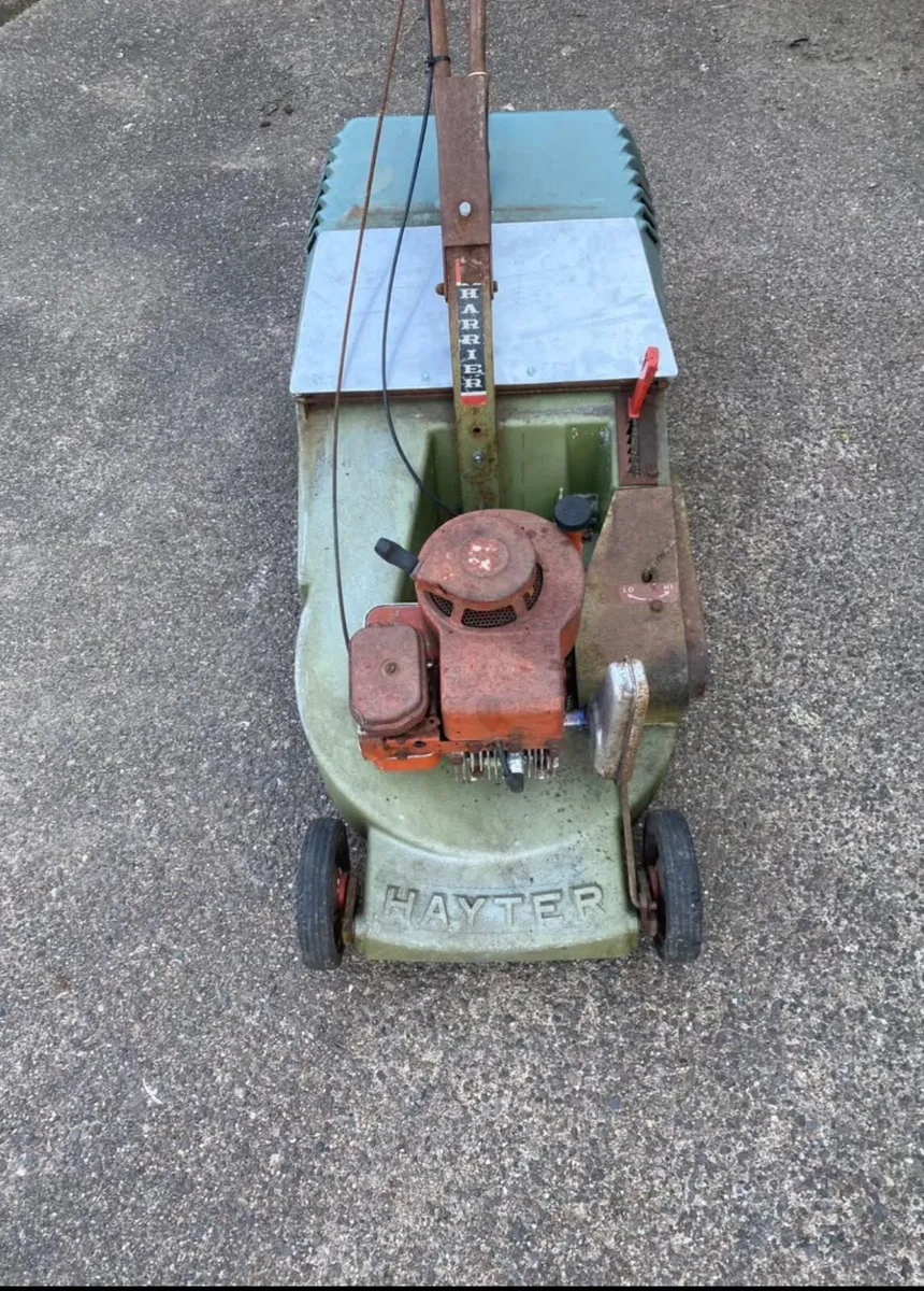 Hayter self propelled