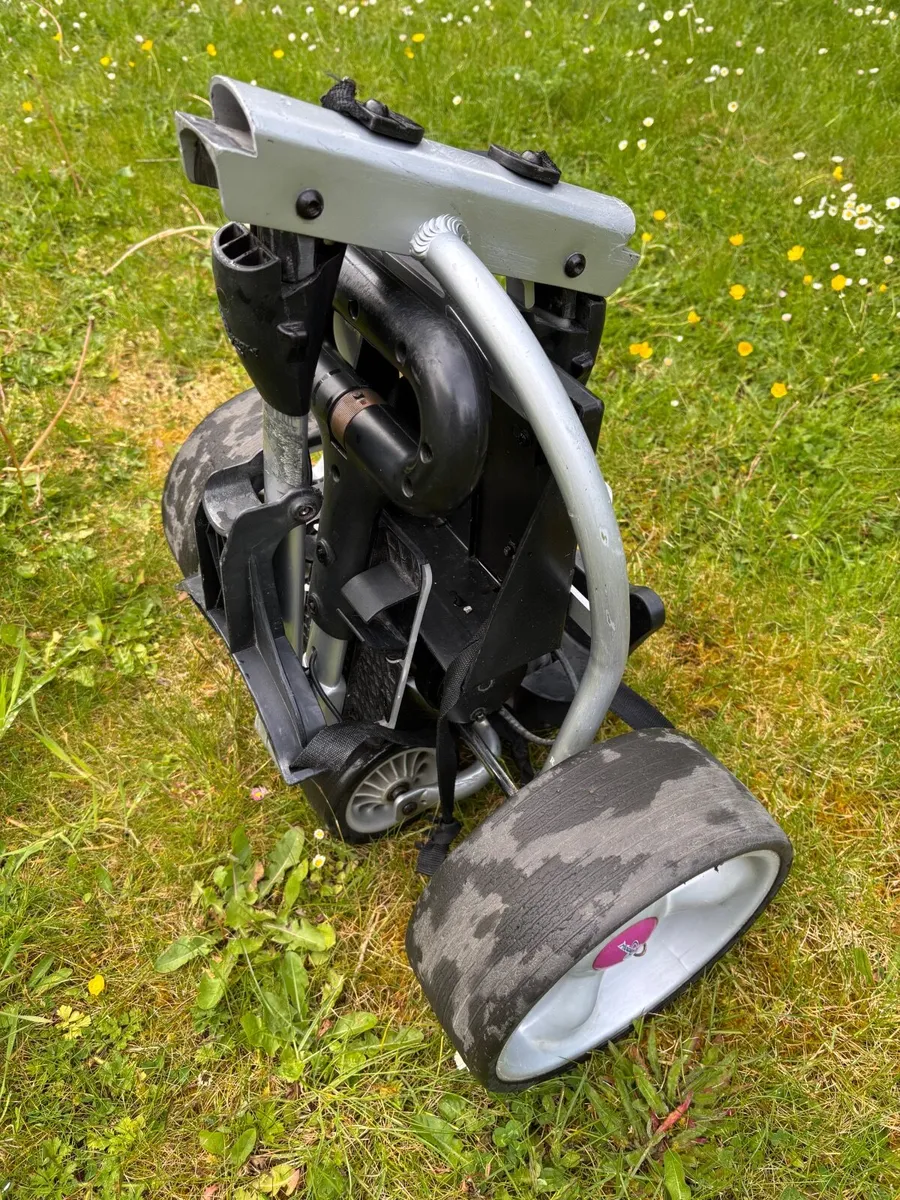 Electric Golf Cart - Image 2