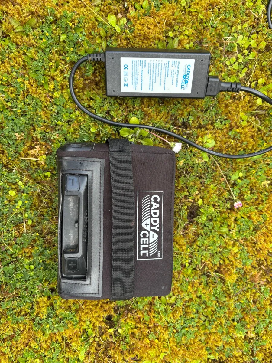 Electric Golf Cart - Image 3