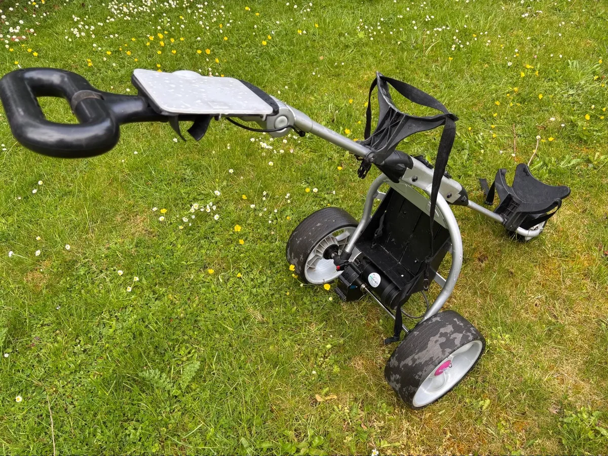 Electric Golf Cart - Image 4