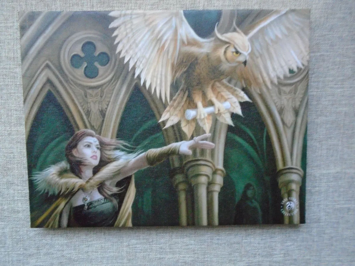 Anne Stokes canvas, Picture, Home decor, New - Image 1