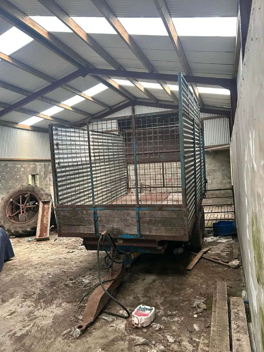Donnelly Silage Trailer - Image 2