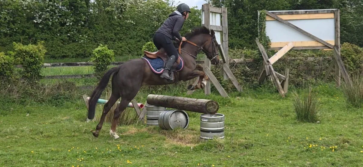 Super Pony Club Pony - Image 3