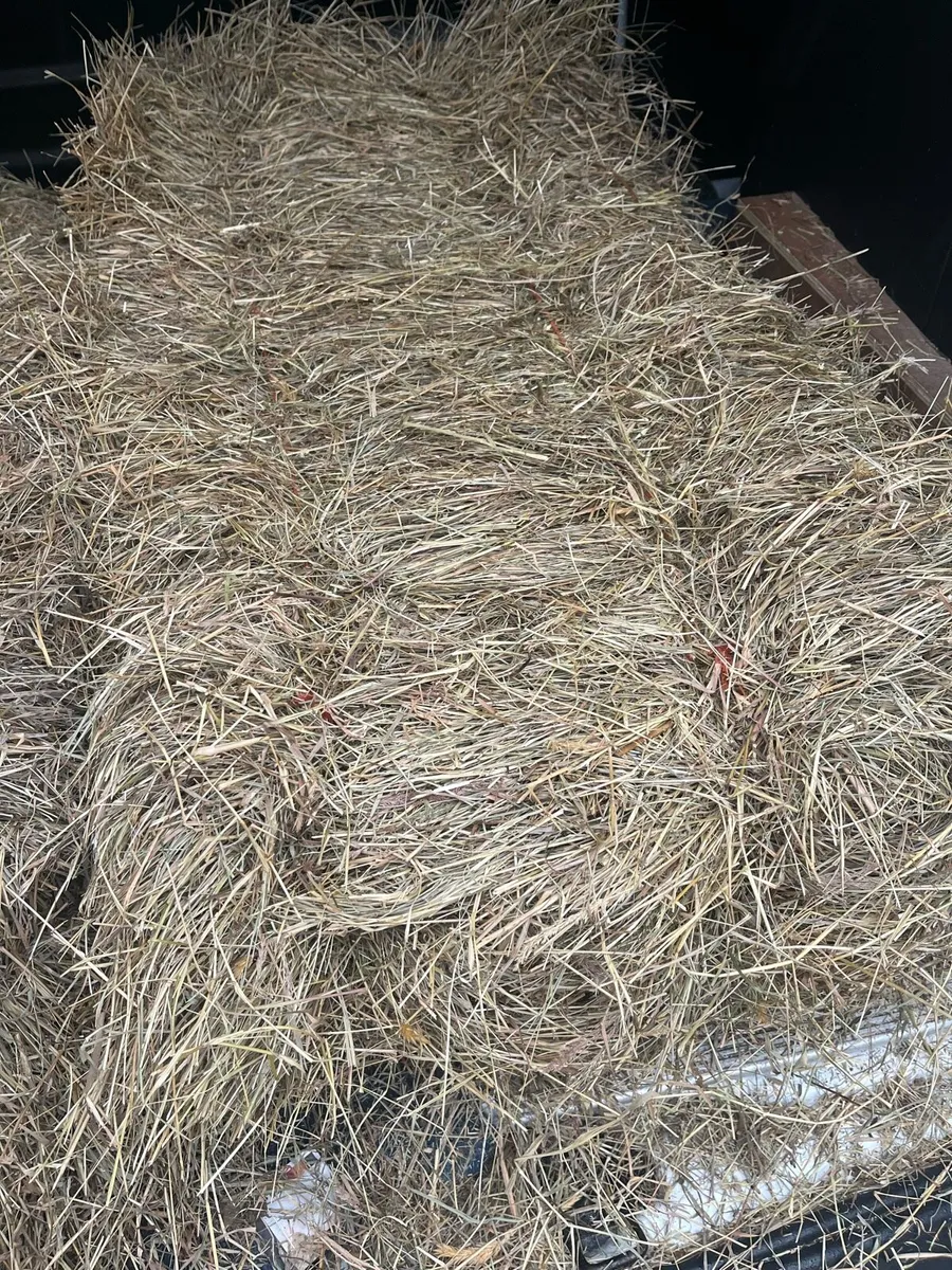 Good quality hay