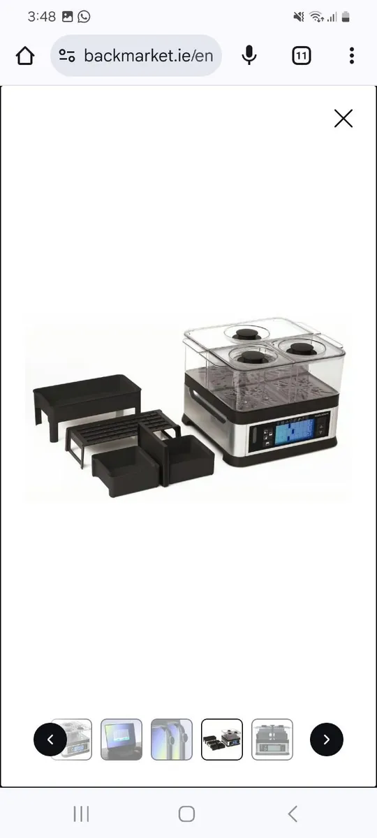 Steamer - Image 2