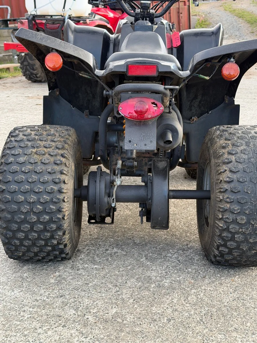 Quad 100cc ADLY - Image 4