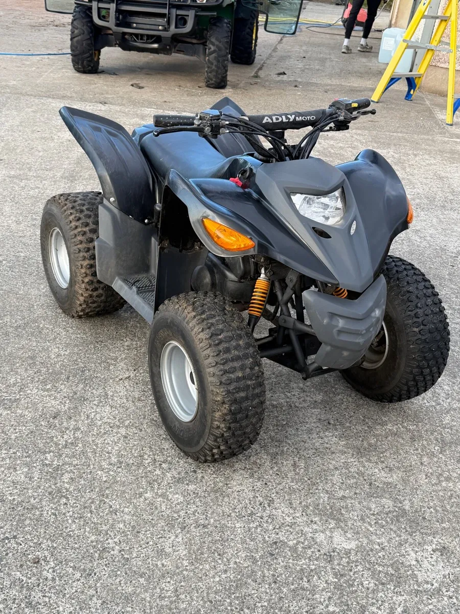 Quad 100cc ADLY - Image 1