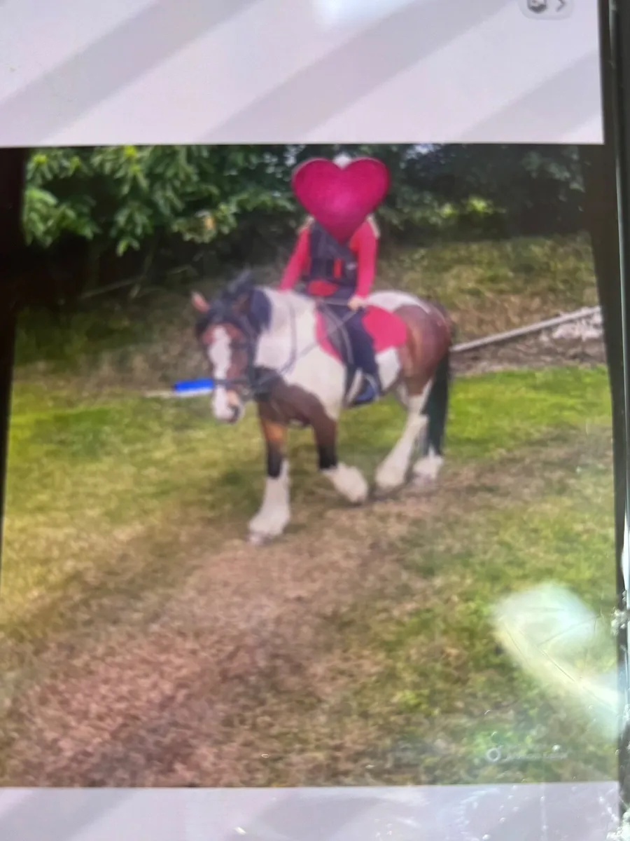 Pony - Image 1