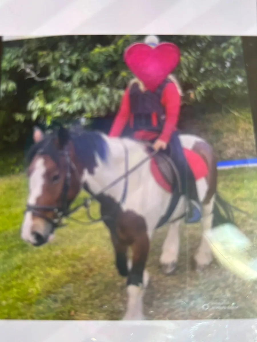 Pony - Image 2