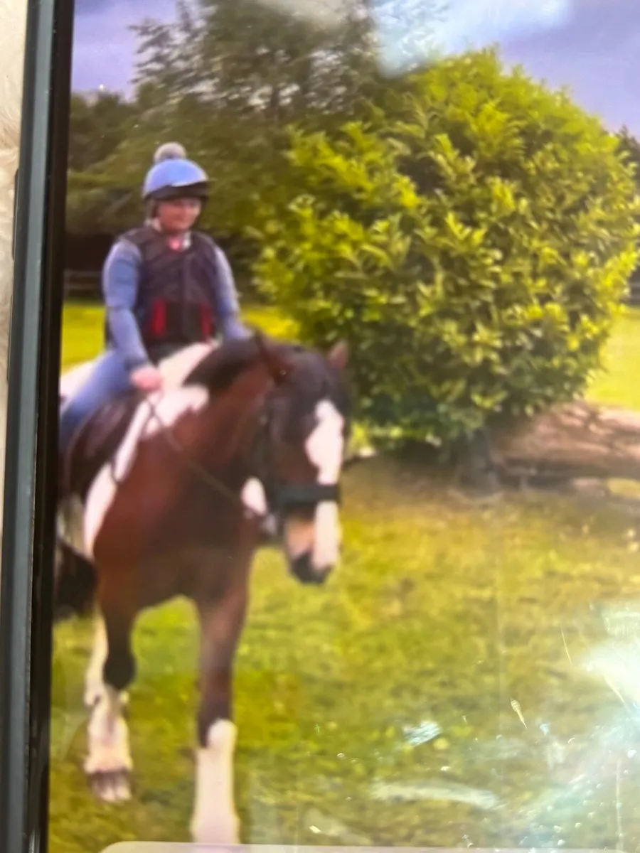 Pony - Image 3