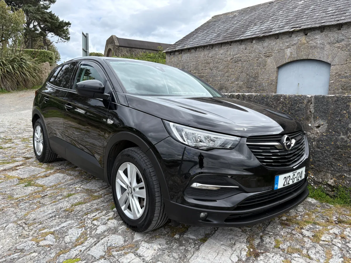 2021 Opel Grandland X Commercial - Image 2