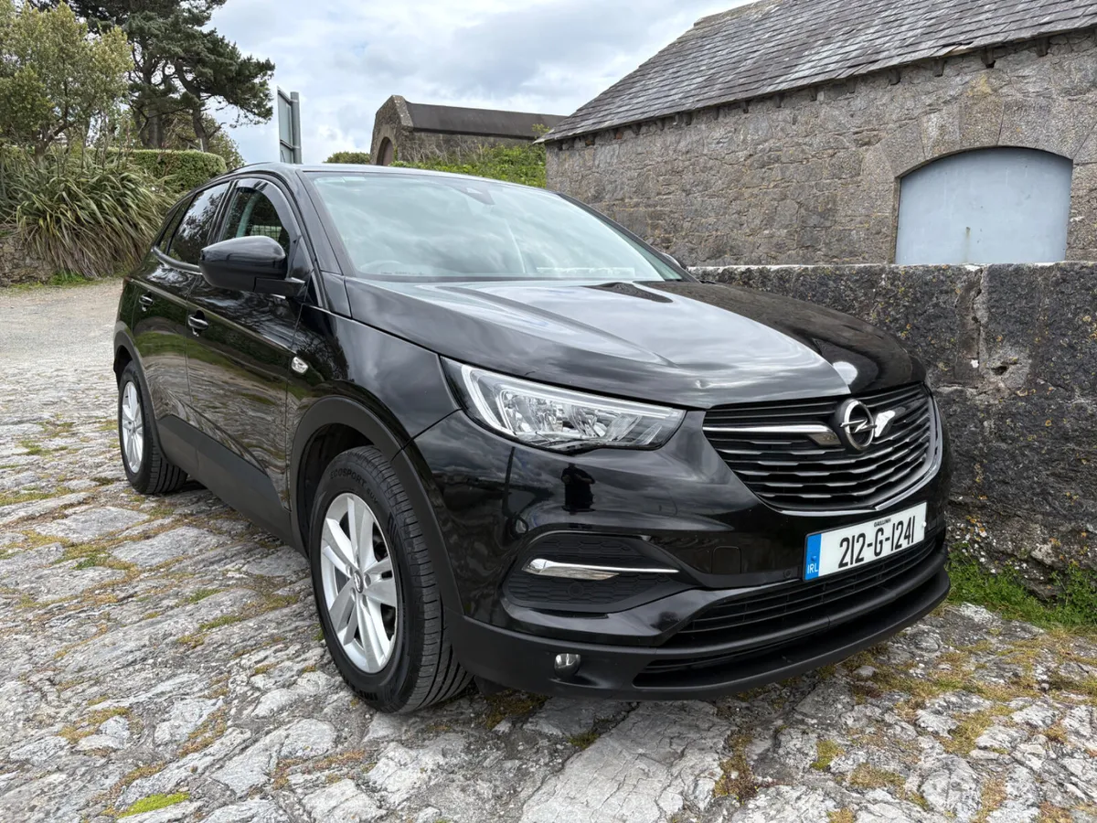 2021 Opel Grandland X Commercial - Image 3