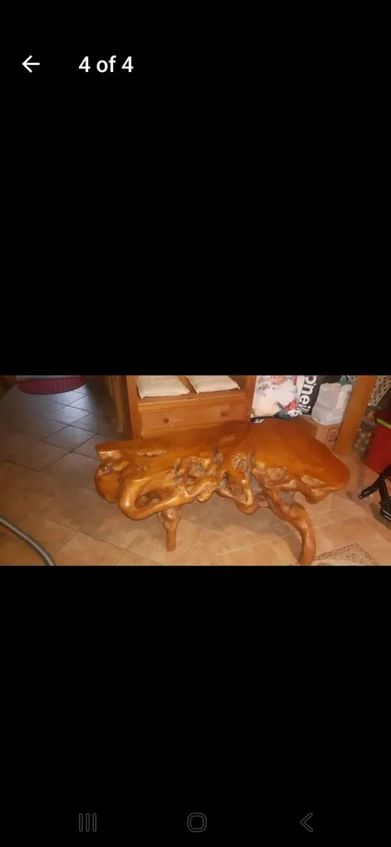 Root chair & coffee table - Image 4