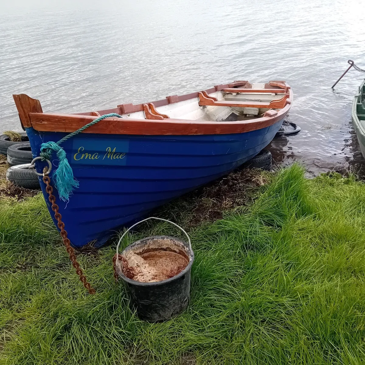 19ft lakeboat - Image 1
