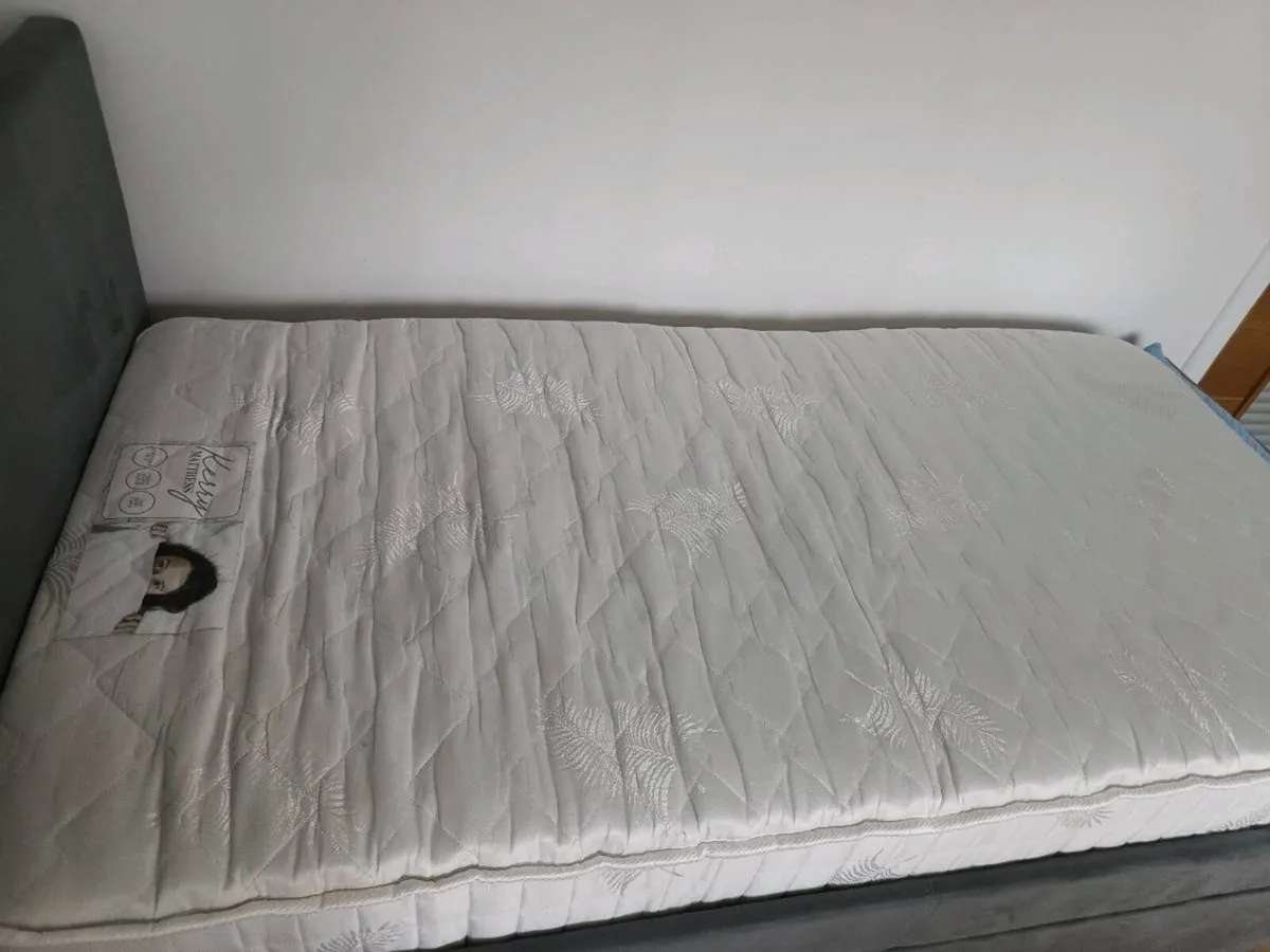 Single bed with pull out guest bed and mattress - Image 4