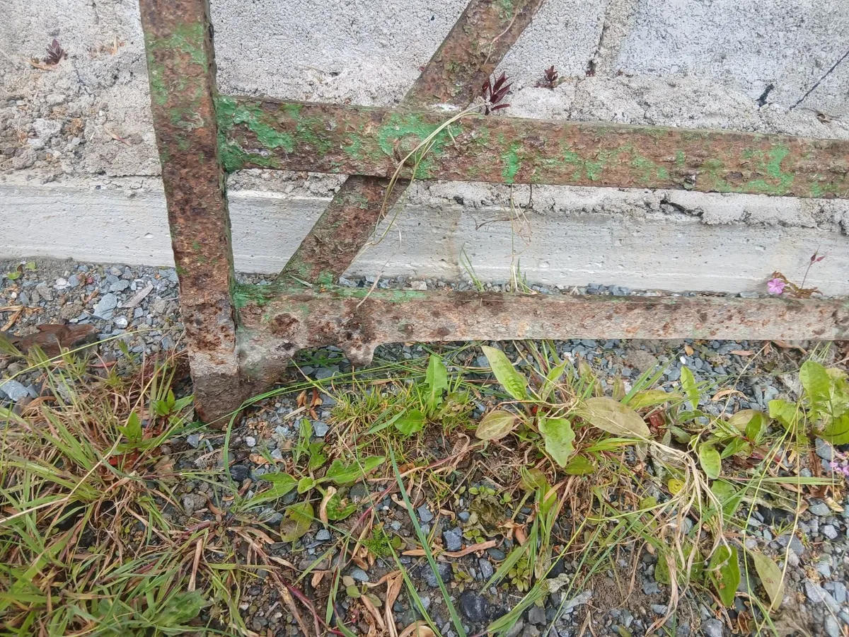 Gates - Image 3