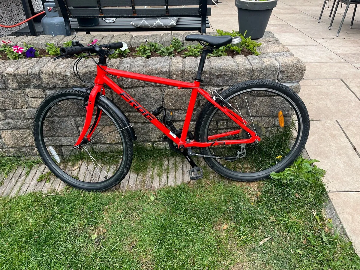 Kids frog bike - Image 1