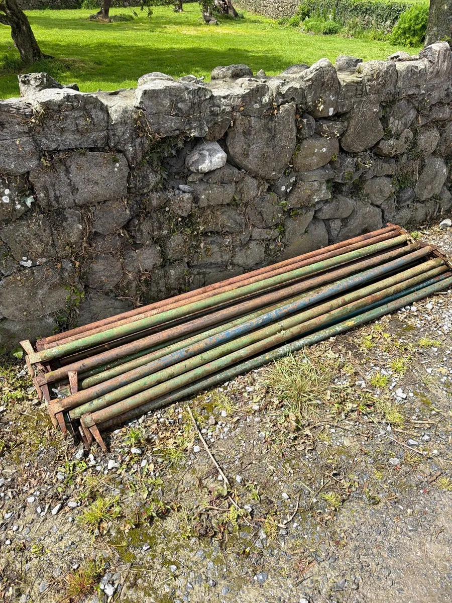 Scaffolding - Image 3