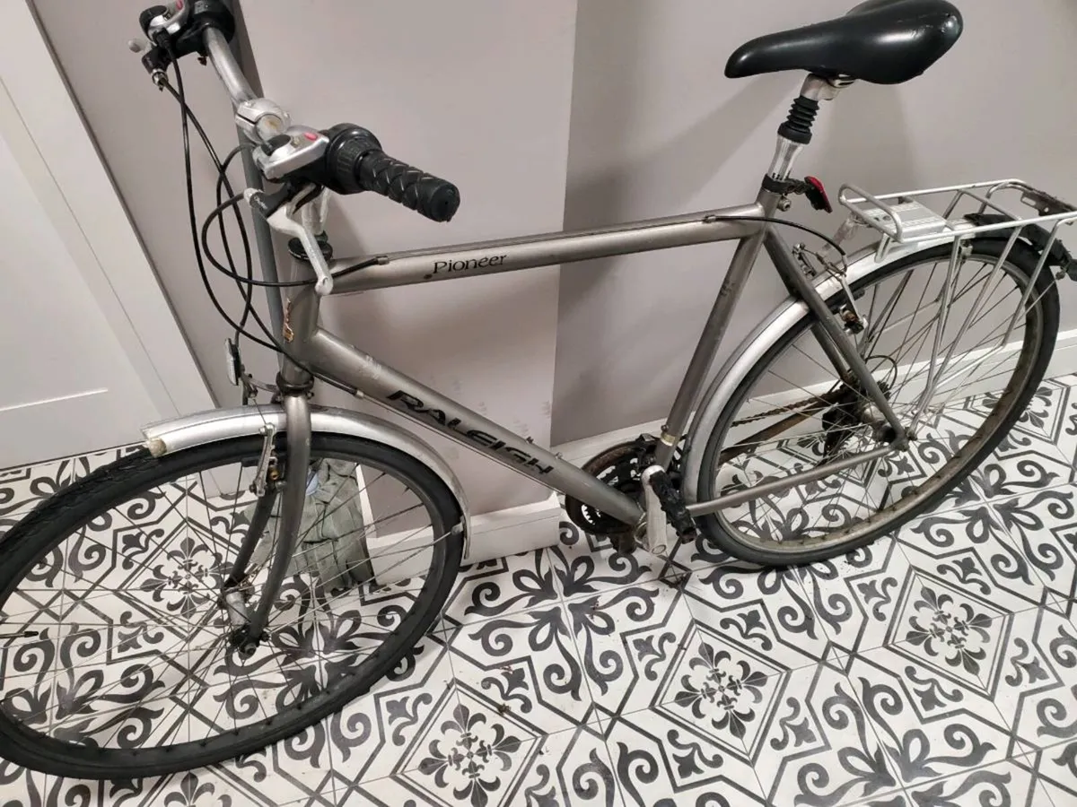 Raleigh Pioneer 21
