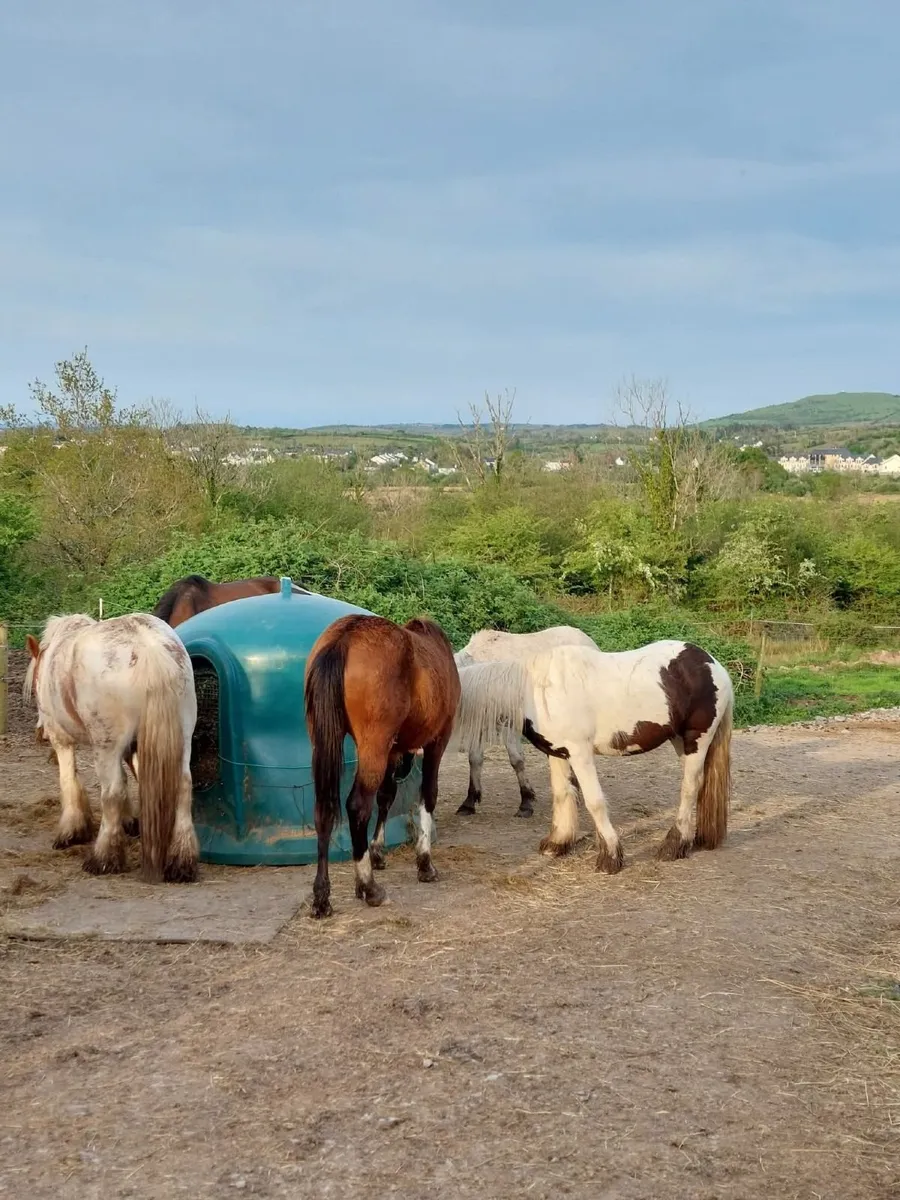 Track Livery Leitrim / Roscommon - Image 1