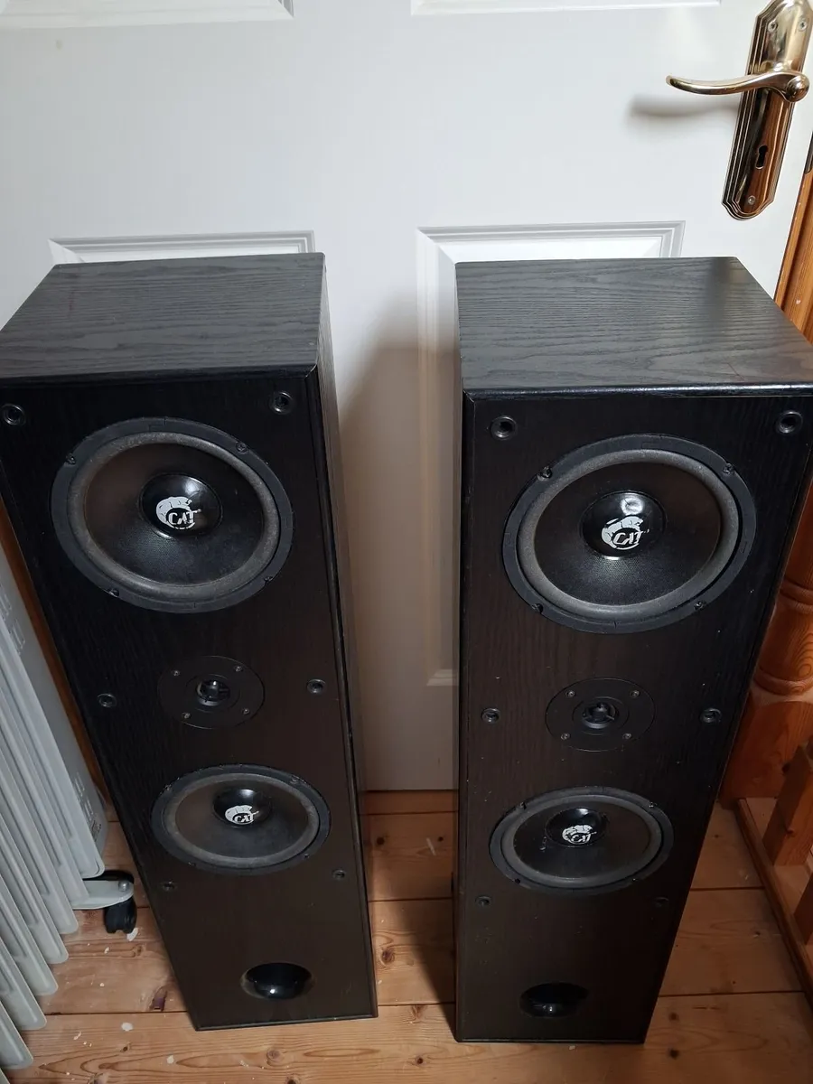 Cat leb 401 floor speakers - Image 1