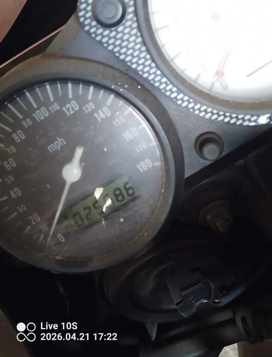Suzuki tl 1000r - Image 4