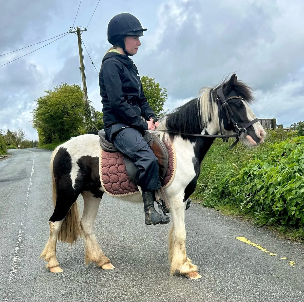 Begginers pony - Image 3