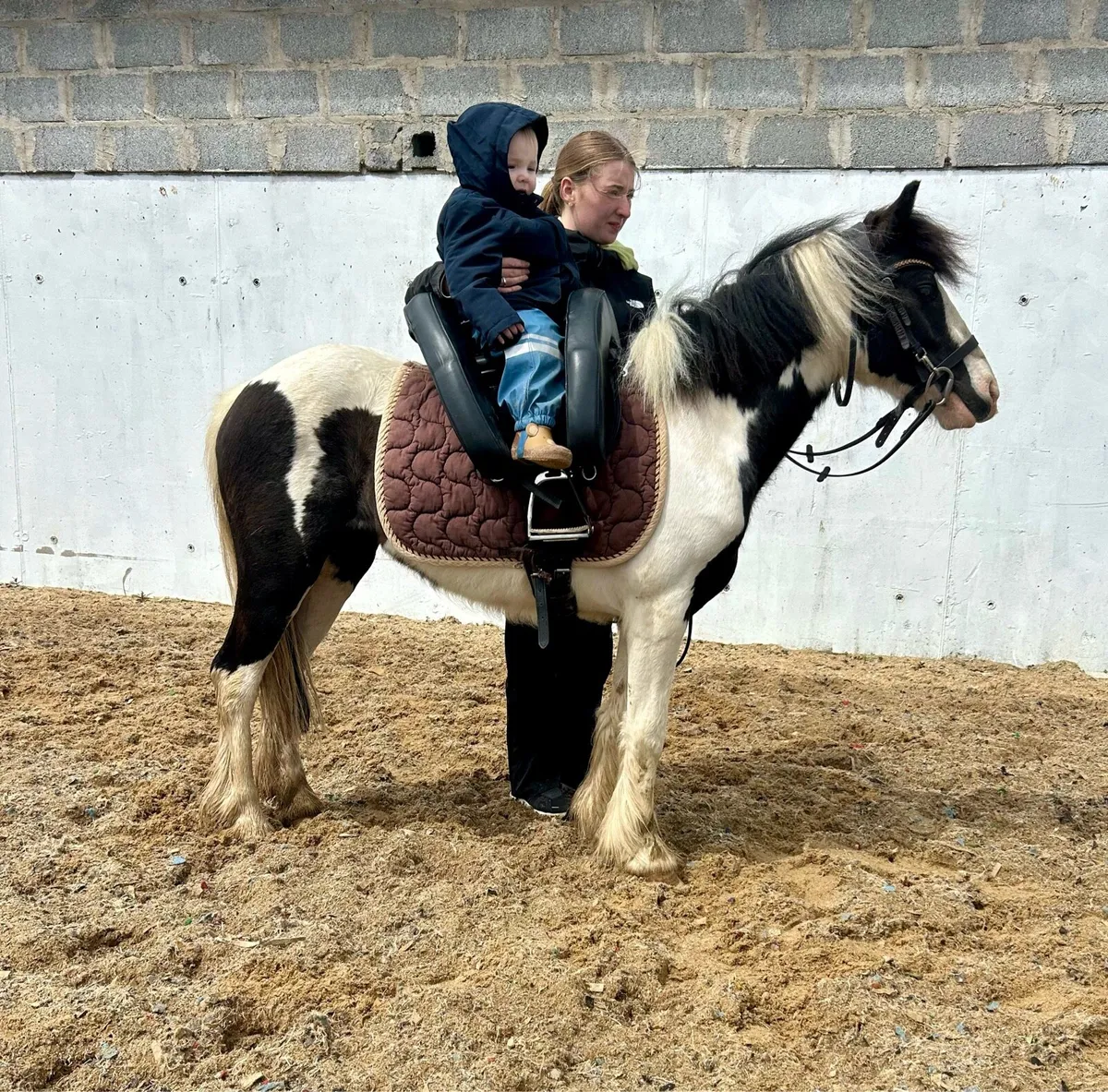 Begginers pony - Image 4