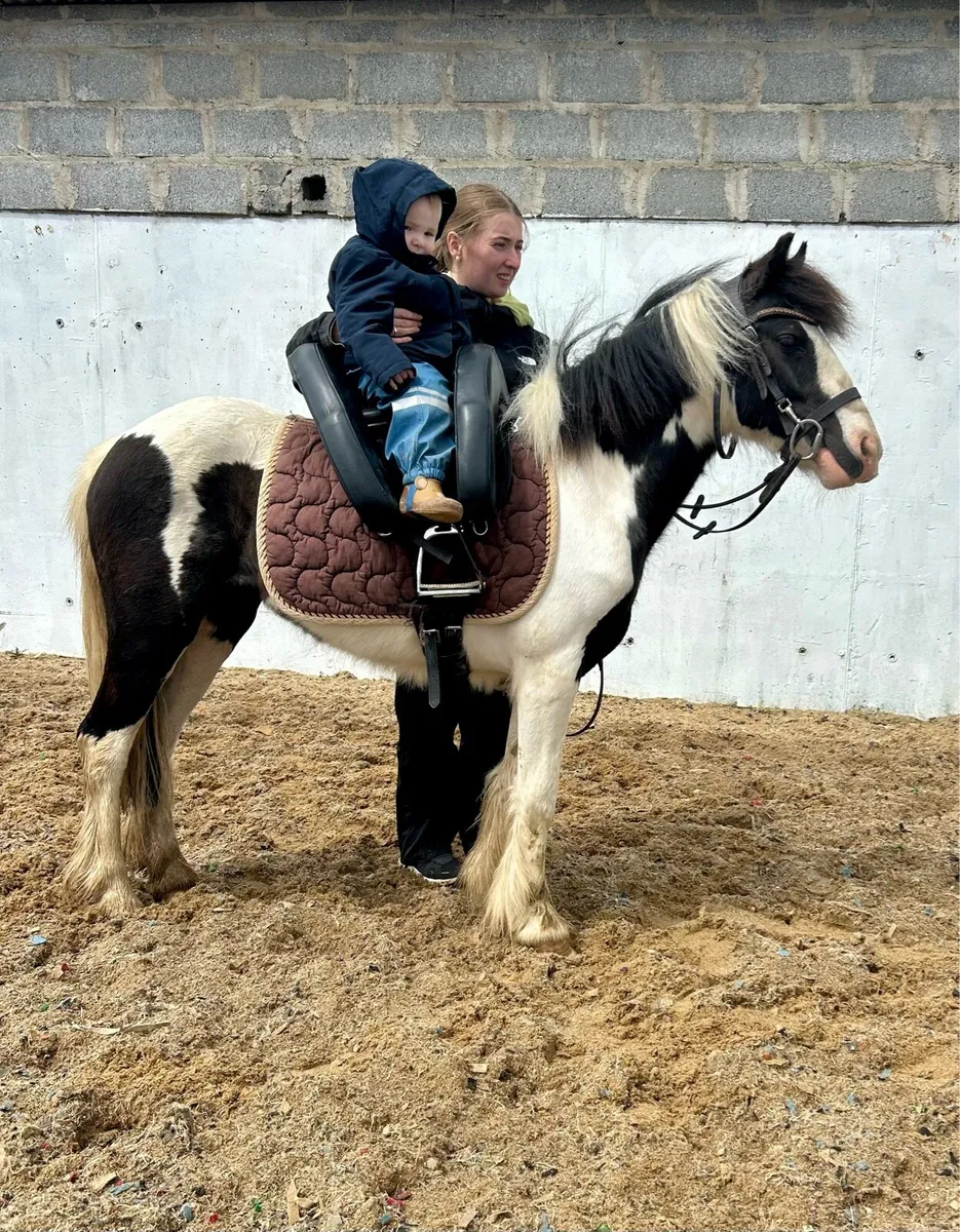Begginers pony - Image 2